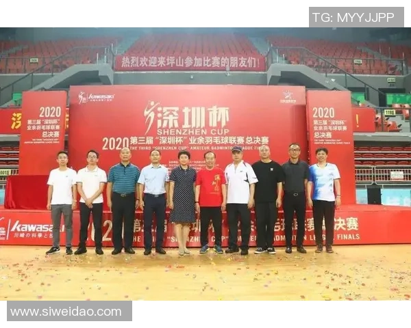 深圳羽毛球队状态分析与发展前景探讨