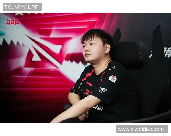 王者荣耀热点分析：深入解读JDG战队的控场策略与战术执行